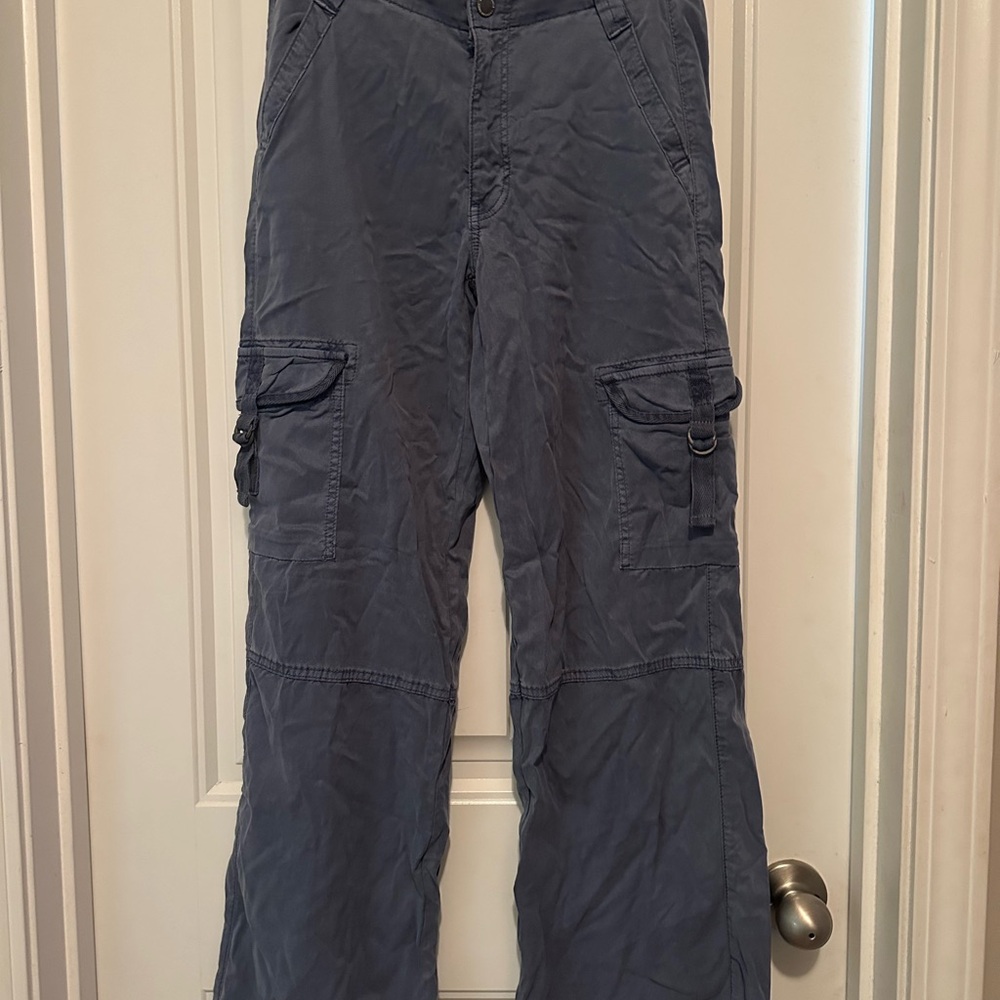 American Eagle Outfitters Blue Cargo Pants